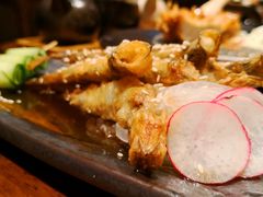 -山杏yama-katsu·吉列炸物