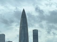 -深圳湾公园(南山区)