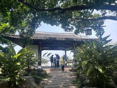 -江心屿景区