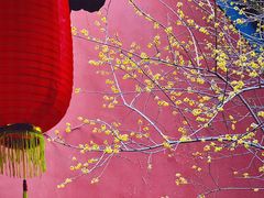-钱王祠