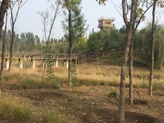 -东郊湿地公园
