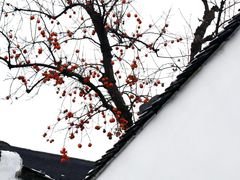 -北寺塔