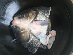 -千岛湖品鱼馆(钓鱼岛店)