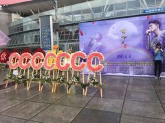 -南京奥林匹克体育中心-体育馆