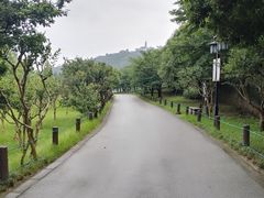-苏州上方山国家森林公园