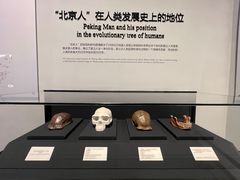 -北京周口店北京人遗址博物馆