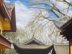 -柏联酒店