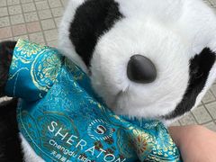 -成都天府丽都喜来登饭店