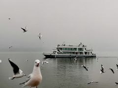 -海埂大坝