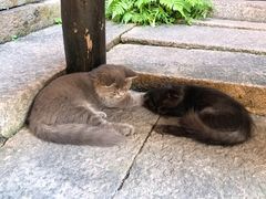 -老屋咖啡