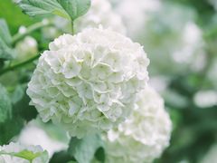 -陕西省西安植物园