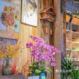 这家早午茶brunch天花板,就在天山!