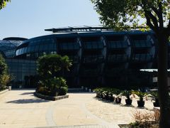 -上海滴水湖皇冠假日酒店