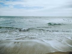 -西涌国际滨海旅游区