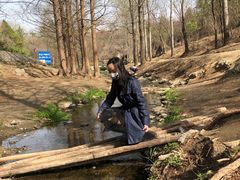 -白水寺森林公园
