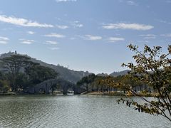 -顺峰山公园
