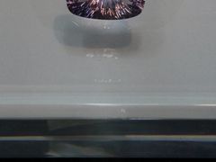 -烟台自然博物馆