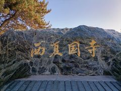 -张掖大佛寺景区