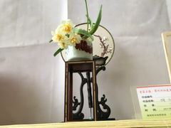 -龙大花卉苗木市场