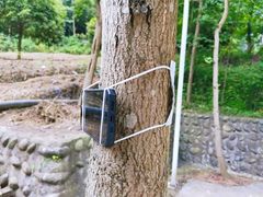 -都江堰普照寺