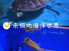 -石家庄极地海洋世界
