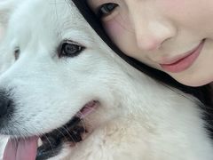 -汪说·狗咖·拼豆·宠物周边DIY(旺城大厦店)
