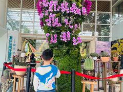 -南山植物园