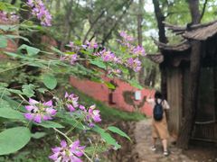 -潭柘寺景区