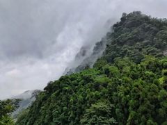 -峨眉山报国寺