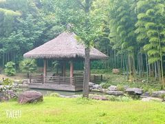 -兰亭风景区