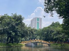 -晓港公园