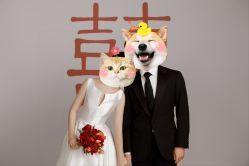 点击看大图 -CD视觉婚纱摄影