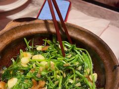 -天辣(金桥啦啦宝都店)