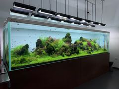 -ADA自然水景世界