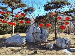 -莲花池公园