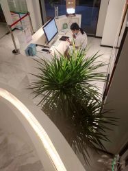 -AiCure 埃可儿·韩国医学皮肤管理