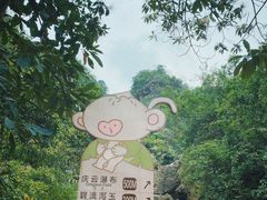 -南海湾森林生态园