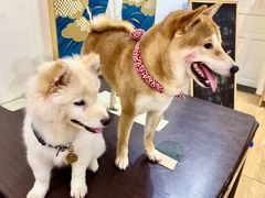 -伽利略剧本探案馆(国贸店)