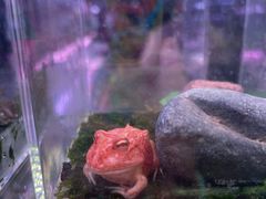 -三旗百汇商品城