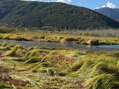 -泸沽湖国家级风景名胜区走婚桥