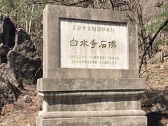 -白水寺森林公园