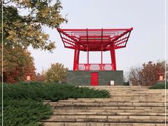 -大望京公园