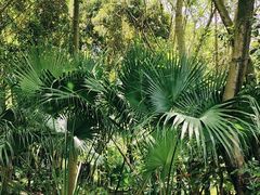 -刘家花园·柴火鸡·中餐酒楼·西昌烧烤(三圣乡店)