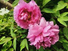 -处女泉风景名胜区