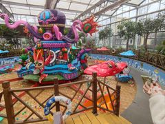 -南宫五洲植物乐园