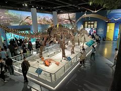 -国家自然博物馆