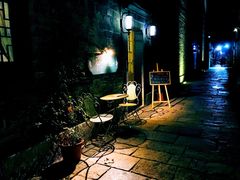 -花·fleur古董西餐厅(西城夜未央店)