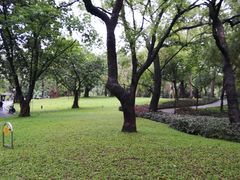 -晓港公园