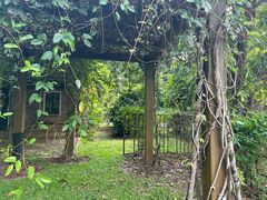 -中国科学院西双版纳热带植物园