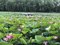 -南戴河国际娱乐中心